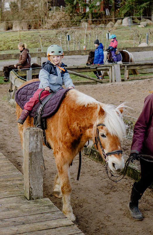 14 - 014_Ferienhof Bendfeldt_Januar2024